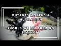 Mutants Morphs and Mutilation Should we let axolotls go extinct