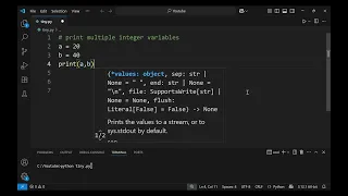 Print multiple integer variables in Python - Tiny Lessons