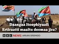 Download Lagu Daangaa Itiyoo-Ertiraarra waan adeemaa jiru duuba kan jiru eenyu? | BBC News Afaan Oromoo