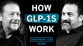 How GLP-1 Drugs Actually Work | Dr. Scott Kanoski & Dr. Andrew Huberman