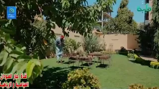 فضيل عبدالله عبد السلام علب كبري 