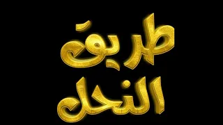 موسيقى مسلسل طريق النحل 