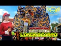 Download Lagu LANANG COBRA VOC FRESSA AYUMI - SINGA DANGDUT \