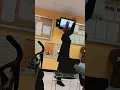 Only in new york welfare Office