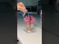 Growing a magic cherry blossom tree I hope this works