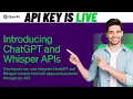 Open AI Chat GPT API Is Live How to use ChatGPT API KEY in Python Tutorial