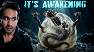 Something Strange Is Happening at the Bottom of the Ocean