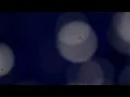 sar bu şehri / can ozan (sözleri/lyrics) turkish song translated