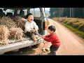 Download Lagu 哥哥為救弟弟以身犯險，怎料反被綁走，十年後弟弟成最年輕首富，為報恩直接懸賞百萬找回哥哥繼承千億遺產！ #反轉 #短劇 #親情