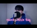 Lagu Em Beihold - Numb Little Bug (cover by Kasey L)