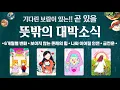 Download Lagu [타로] 곧 있을 뜻밖의 대박소식🌺상세하고 소름돋게 잘 맞는 예언🦋기다린 보람이 있는!!