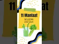 Download Lagu 11 Manfaat Seledri untuk Tubuh