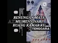 Download Lagu TENGGARA - SUARA HATI (LIRIK) 1993