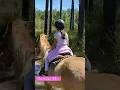 Download Lagu Ocala Trail Ride.
