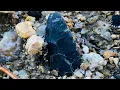 Arrowhead Hunting And Creek Walking North Georgia