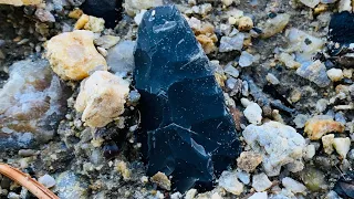 Arrowhead Hunting And Creek Walking North Georgia