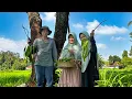 Lagu Panen Pete di Kebun | Masak Lodeh Pete, Ayam Goreng, Gereh Petek, dan Sambel Pete | Kampung Halaman