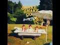 Fake Love - Shake Shake Go