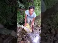 Download Lagu Siapa Yg Pernah Ngambil Air Minum Dari Mata Air? 🥤💦