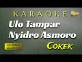 Download Lagu Karaoke Ula Tlampar Sragenan