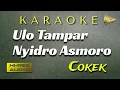 Karaoke Ula Tlampar Sragenan