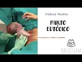 Download Lagu PARTO NATURAL MADRID