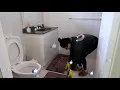 NAGLINIS NG KUBETA AT NAGKUSKUS / CLEAN WITH ME