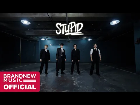 STUPID