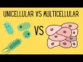 Unicellular and Multicellular Cells