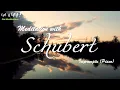 The Best Schubert Meditation Music - Relax Meditation Sleep Reading Focus Piano