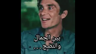 توماس شيبلي   اجمل ما قيل عن المرأة    دندنها