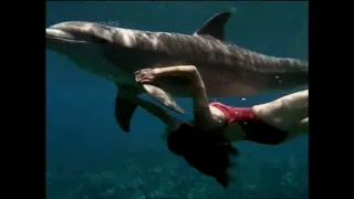 bermuda triangle 1996 uw clips