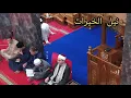 حضرات طريقة العزمية| نيل الخيرات  Hadroh Toriqoh Azamiyah Nailul khairat bersama Maulana Syeikh 'ala