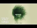 Download Lagu Dirty Nano ❌ @Delia  - Verde Imparat | REMIX