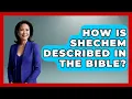 Download Lagu How Is Shechem Described In The Bible? - Holy Landmarks