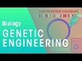 Lagu Genetic engineering | Genetics | Biology | FuseSchool