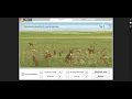 Prairie ecosystem gizmo introduction