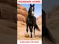 Lagu Marwari-paard – Zeldzame naar binnen gebogen oren en elegante woestijnwandeling | Sora AI #aishor...