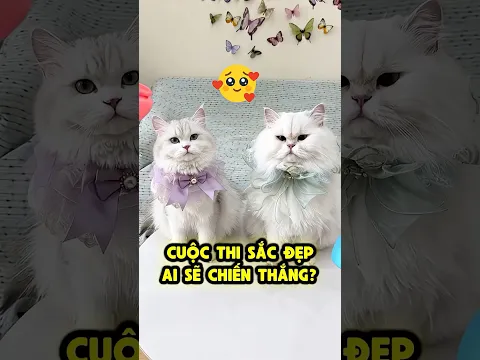 Tiểu Điệp Đại Chiến Tuyết Cầu Ai Đẹp Hơn⁉️ 😻