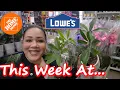 Home Depot Lowe s Plant Shop With Me Did They Get New Plants