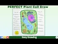 How to Draw a Plant Cell Colored Labeled Diagram for Students Diagram Lab