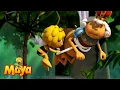 The Queen Bee Is In SERIOUS Danger - Maya the bee