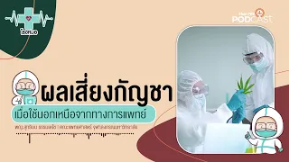 CBD ในกัญชาทำหน้าที่อย่างไรต่อร่างกาย