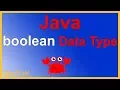 Java Boolean Data Type by Example - TRUE or FALSE