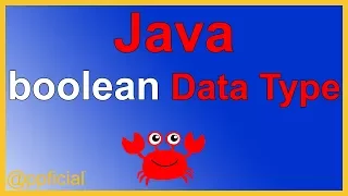 Java Boolean Data Type by Example - TRUE or FALSE