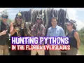 Hunting Pythons in The Everglades