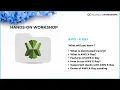 Mini Workshop AWS - X Ray