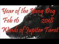 Tiger 2018 Chinese New Year Reading - Born 1950 1962 1974 1986 1998 2010