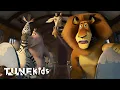 Big and Chunky Moto Moto s Funniest Song Madagascar 2 Tune Kids