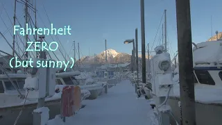 Cruising Lealea: Fahrenheit ZERO (but sunny)